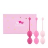 Afbeelding van FeelzToys - FemmeFit Bekkenspier Training Set 3 st