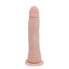 Baile Fit Realistic Vertebrate Dildo 20.1cm