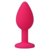 Intense Shelki S Anal Plug Fuchsia