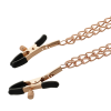 Coquette Chic Desire - Fantasy Metal Nipple Clips With Chain