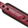 Fetish Submissive Dark Room Collar with Leash