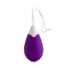 Intense Jan Remote Control Vibrating Egg Lilac