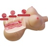 Crazy Bull Diana Female Torso Realistic Masturbator 5kg