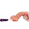 Shequ Red Eagle Vibrator Dildo With Remote Control 17 CM