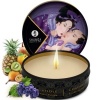 Shunga Secret Geisha Exotic Fruits Kit