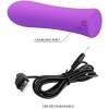 Pretty Love Alfreda Super Power Vibrator Purple