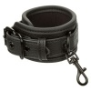 CALEXOTICS Nocturnal Leather Wrist Cuffs Adjustable Black