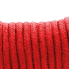 Darkness Japanese Rope 5 M Red