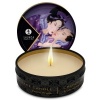 Shunga Mini Caress By Candlelight Massage Candles Display 24
