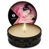Shunga Mini Caress By Candlelight Massage Candles Display 24