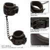 CALEXOTICS Nocturnal Leather Wrist Cuffs Adjustable Black