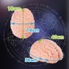 Afbeelding van XTC Japan – Brain Hacker DX Masturbator – Peach