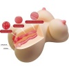 Crazy Bull Fiona Realistic Female Torso 7.1 KG