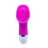 Pretty Love Flirtation Claude Clitoris Stimulator