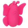 Calexotics Neon Vibes Flutter Vibe Pink Panty