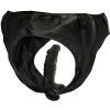 Panties With Plug And Interchangeable Dildo