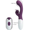 Pretty Love Butterfly Kiss Rabbit Purple