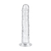 Afbeelding van Jelly Dildo zonder ballen - 16 cm