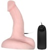 Baile Arbitrariness Dildo Vibration Rotation