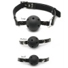 Pipedreams Fetish Fantasy Ball Gag Training System