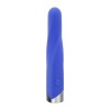 Afbeelding van Evolved - Twisted Temptation Bullet Vibrator - 12 cm