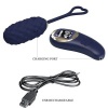 Pretty Love Vivian Blue Remote Control Vibrating Egg