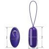 Pretty Love Arvin Violet Vibrating Egg Remote Control