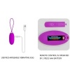 Pretty Love Joanna Vibrating Egg Remote Control 12-Mode