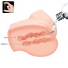 Crazy Bull Realistic Double Vibration Stroker