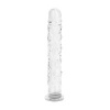 Afbeelding van Gildo - No. 36 Getextureerde Glazen Dildo - 19 cm