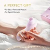 Afbeelding van Blush - Delice Fleur Luchtpulserende Vibrator - Barely Purple