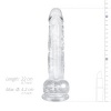 Afbeelding van Jelly Dildo met ballen - 19 cm