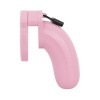 Afbeelding van LOCKDOWN - Chastity Cage Large - Roze