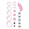 Afbeelding van LOCKDOWN - Chastity Cage Large - Roze