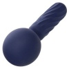 Cal Exotics Charisma Seduction Massager 17.75CM