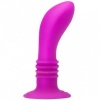 Booty Passion Vibrator Plug 10V