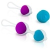 Pretty Love Hegel Kegel Balls Set