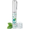 Secretplay Refreshing Mint Oral Sex Spray 11g