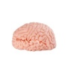 Afbeelding van XTC Japan – Brain Hacker DX Masturbator – Peach