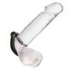 Calexotics Alpha Muscle Ring Black