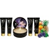 Shunga Secret Geisha Exotic Fruits Kit