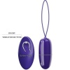 Pretty Love Selkie Violet Mini Vibrating Egg Remote