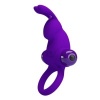 Pretty Love Purple Rabbit Vibrator Ring