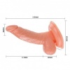 Baile Super Rota Realistic Penis Dong 15CM