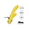 Calexotics San Diego Seduction Vibrator