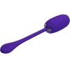 Pretty Love — Kirk Rechargeable Vibrating Egg Purple