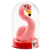 Condomerie Hand-Painted Novelty Condoms Flamingo Pink