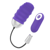 Mr Boss Denis Remote Control Egg Vibrator