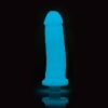 Afbeelding van Clone-A-Willy - Kit Glow-in-the-Dark Blue