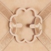 Bye Bra Bra Clips